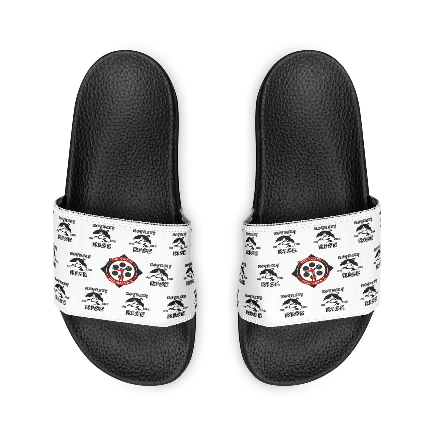 Youth Royalty On The Rise Slides