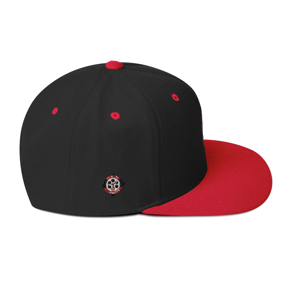 MSD Snapback Hat