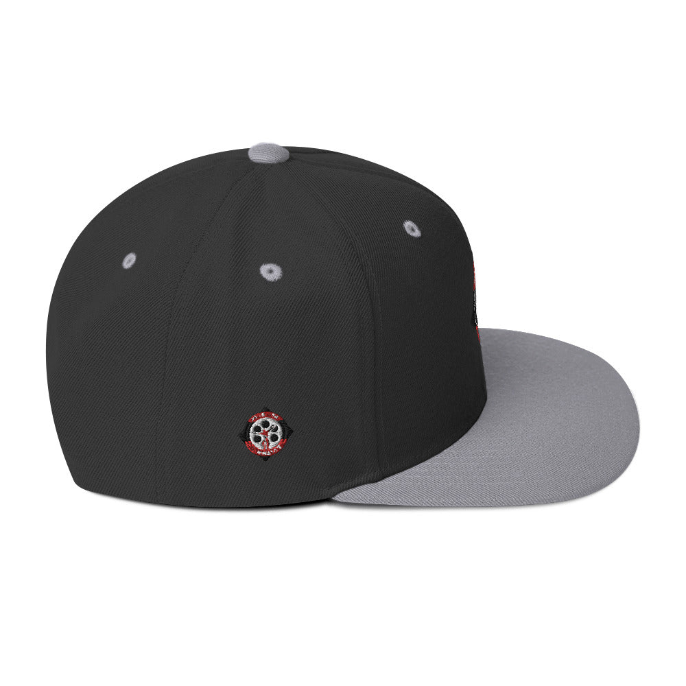 MSD Snapback Hat