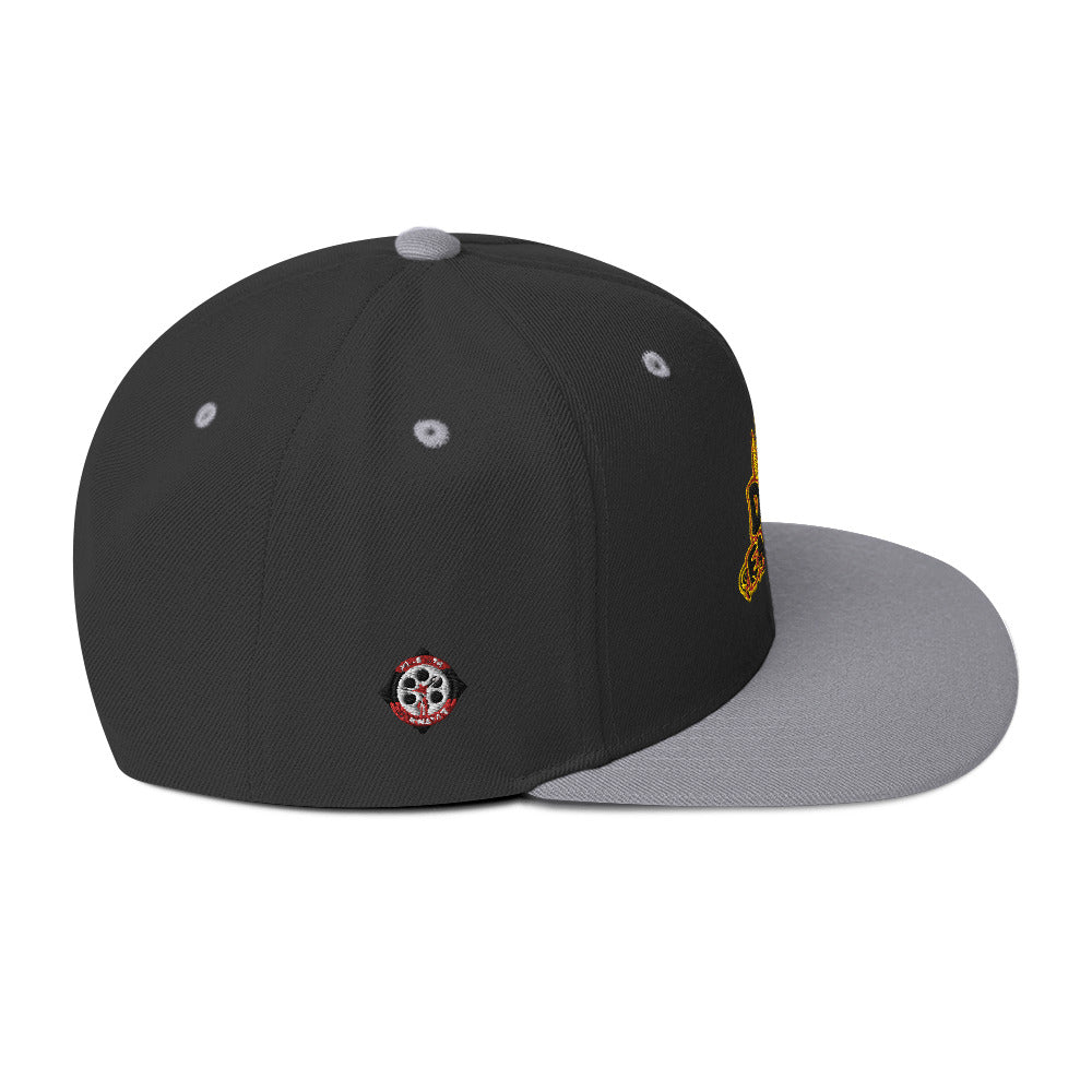 Don Enemie Snapback Hat