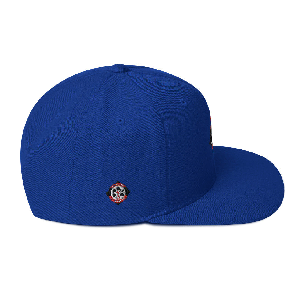 MSD Snapback Hat