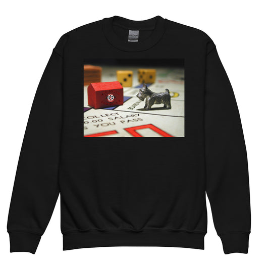 Youth Pass Go Sweatshirt